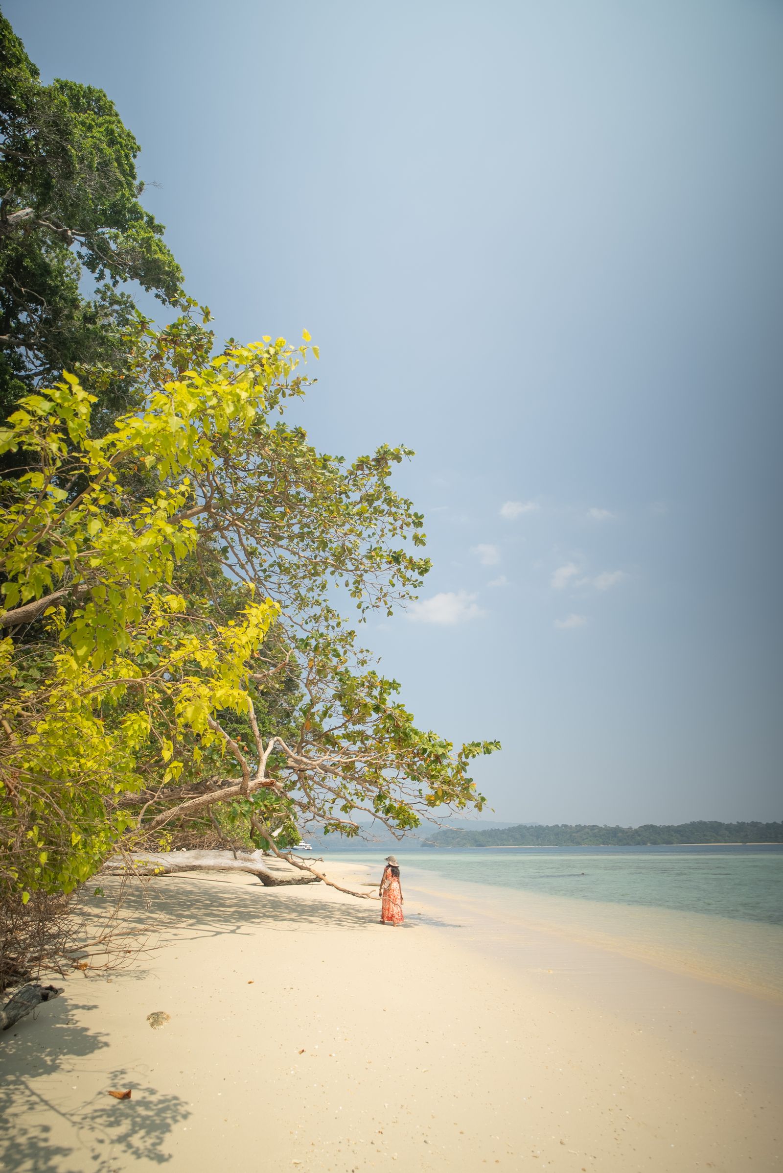Andaman and Nicobar Tour - scenic view