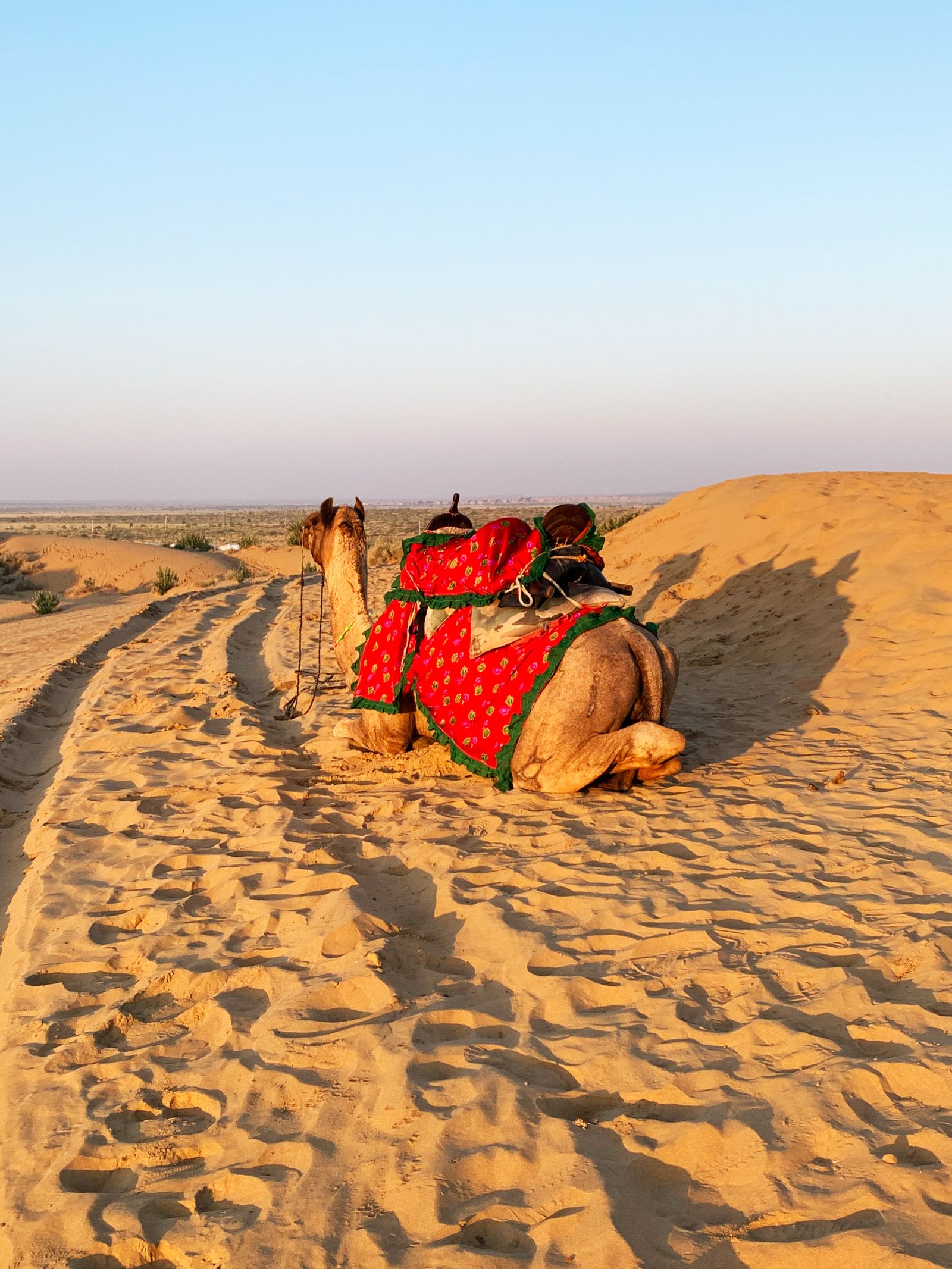 Rajasthan Desert Tour - scenic view