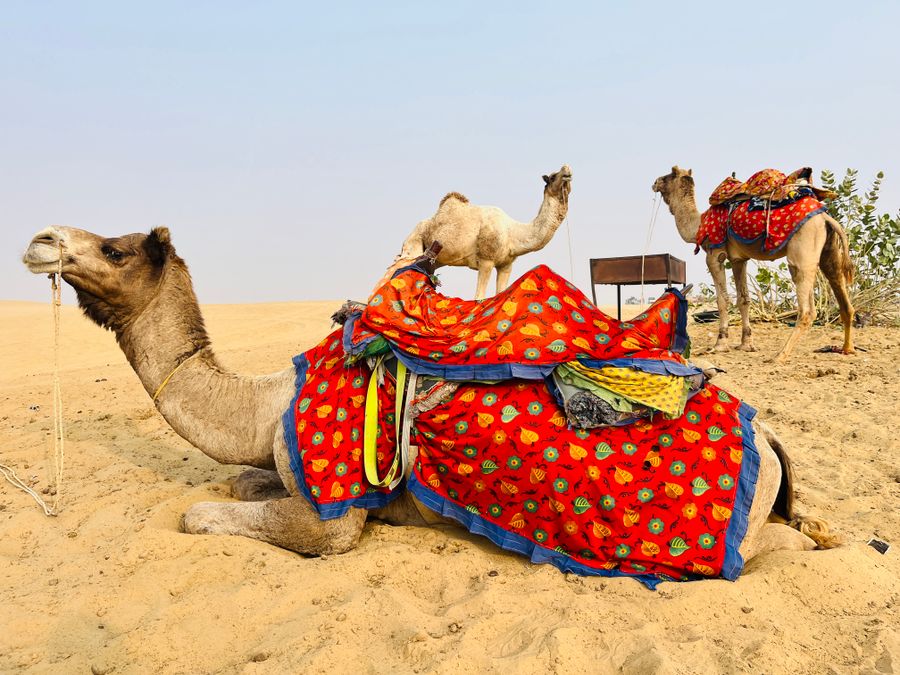 Rajasthan Desert Tour - landmark