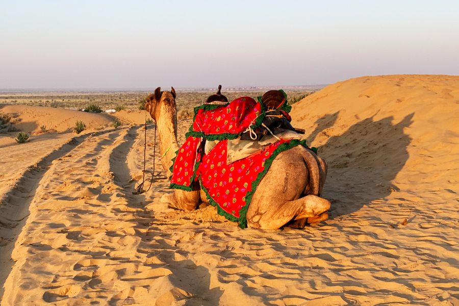 Rajasthan Desert Tour
