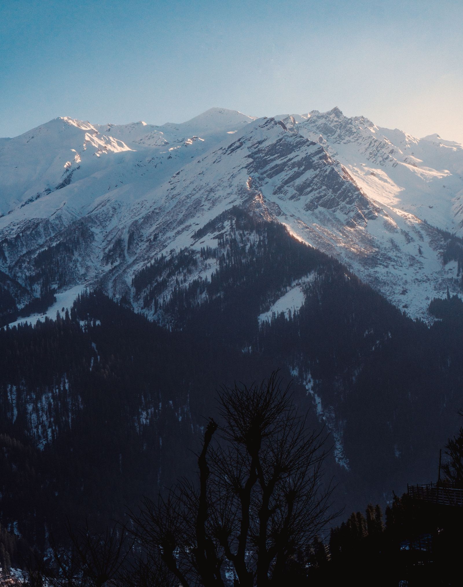 Himachal Pradesh Tour - scenic view