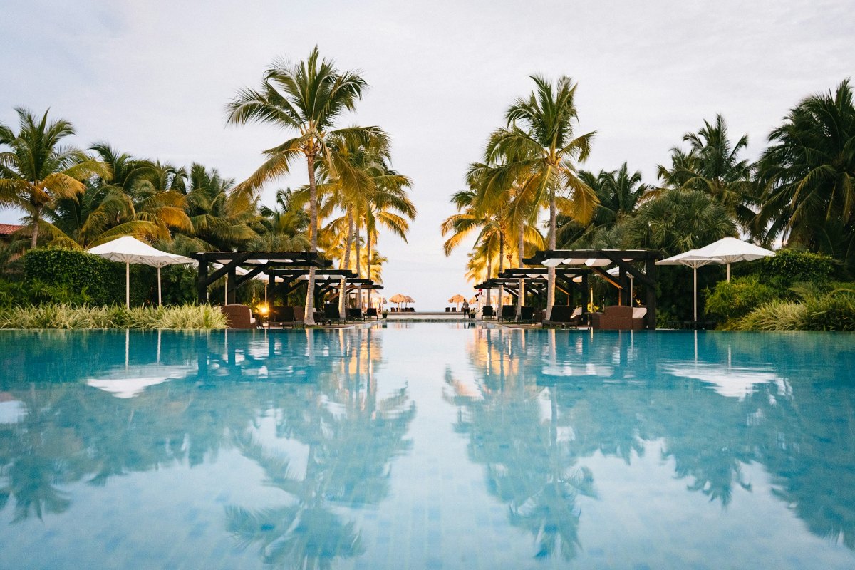 Resort swimming pool lined with palm trees